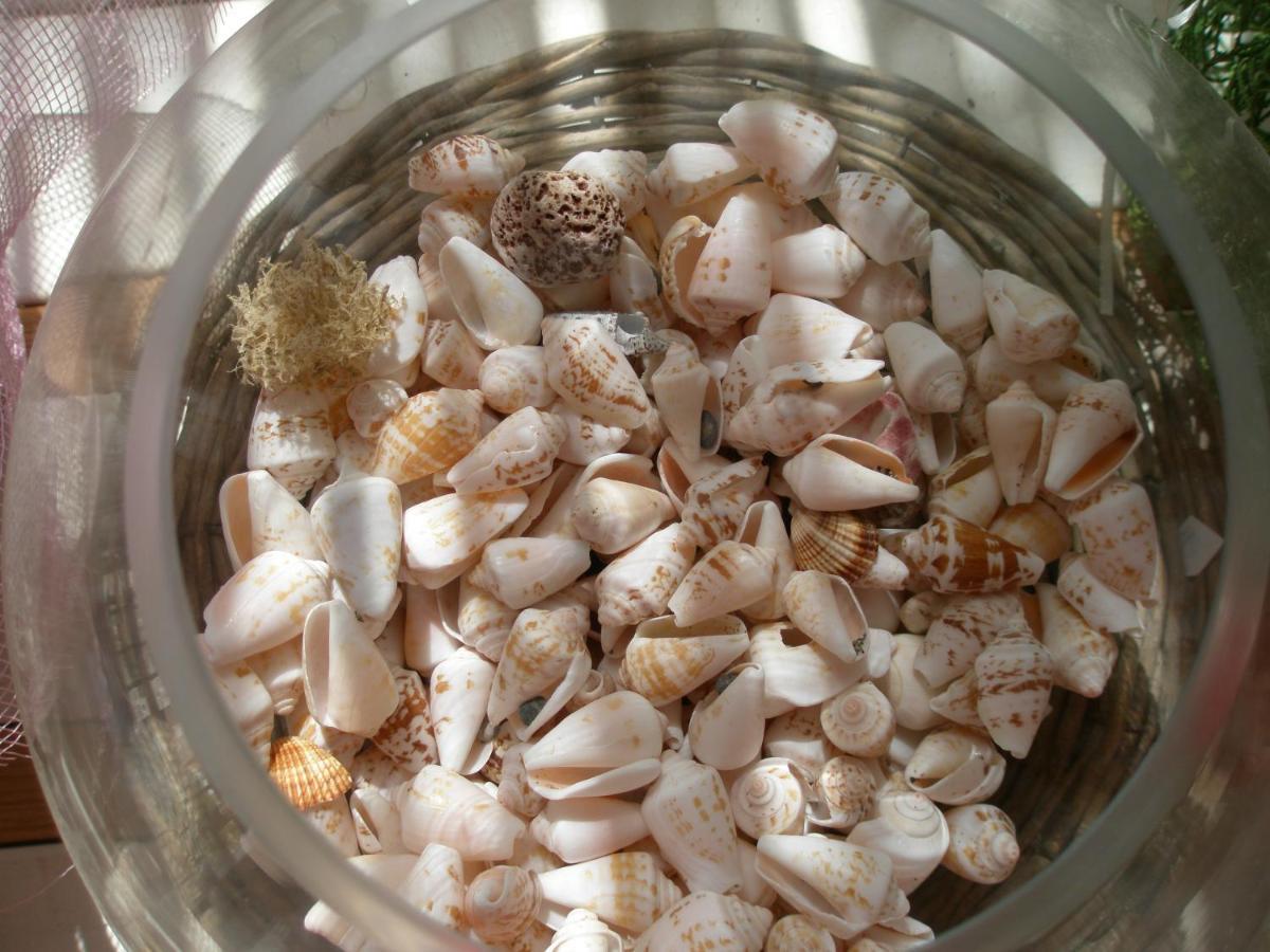 이라피트라 Avra Palm 아파트 호텔 외부 사진